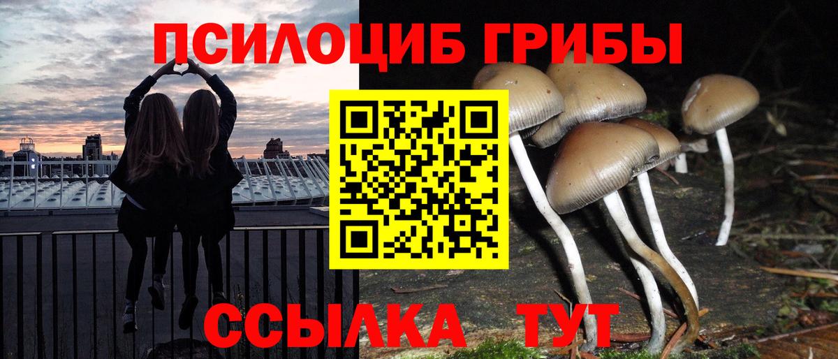 Псилоцибиновые грибы Cubensis Трёхгорный